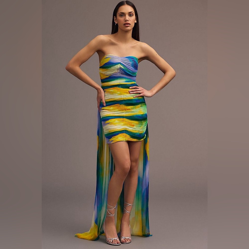 Anthropologie VINEET BAHL‎ BLURRED SHEER MINI TRAIN DRESS Small